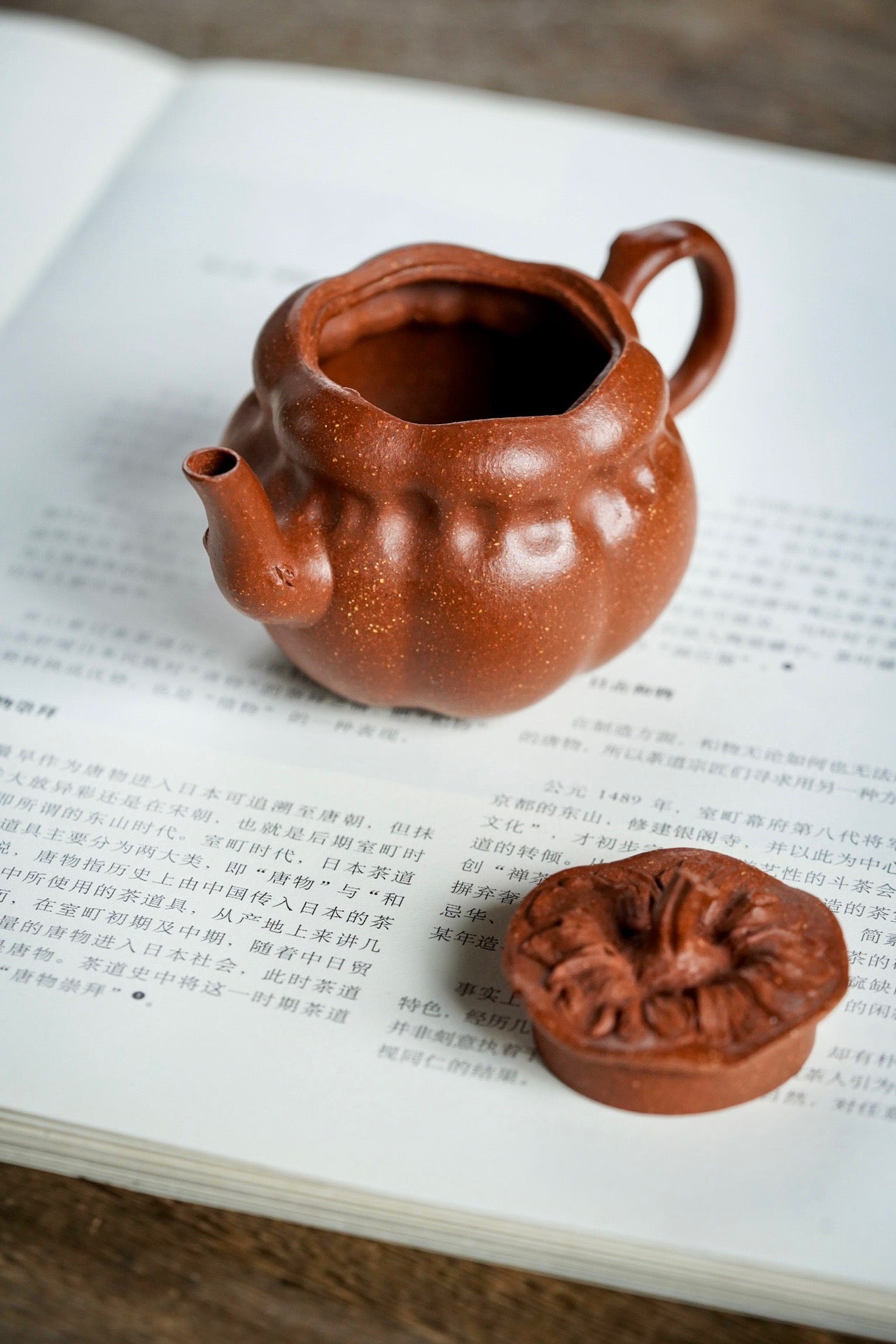 110cc Zisha Jiang Po 粘土ティーポット「Shi Shi Ru Yi」ティーポット