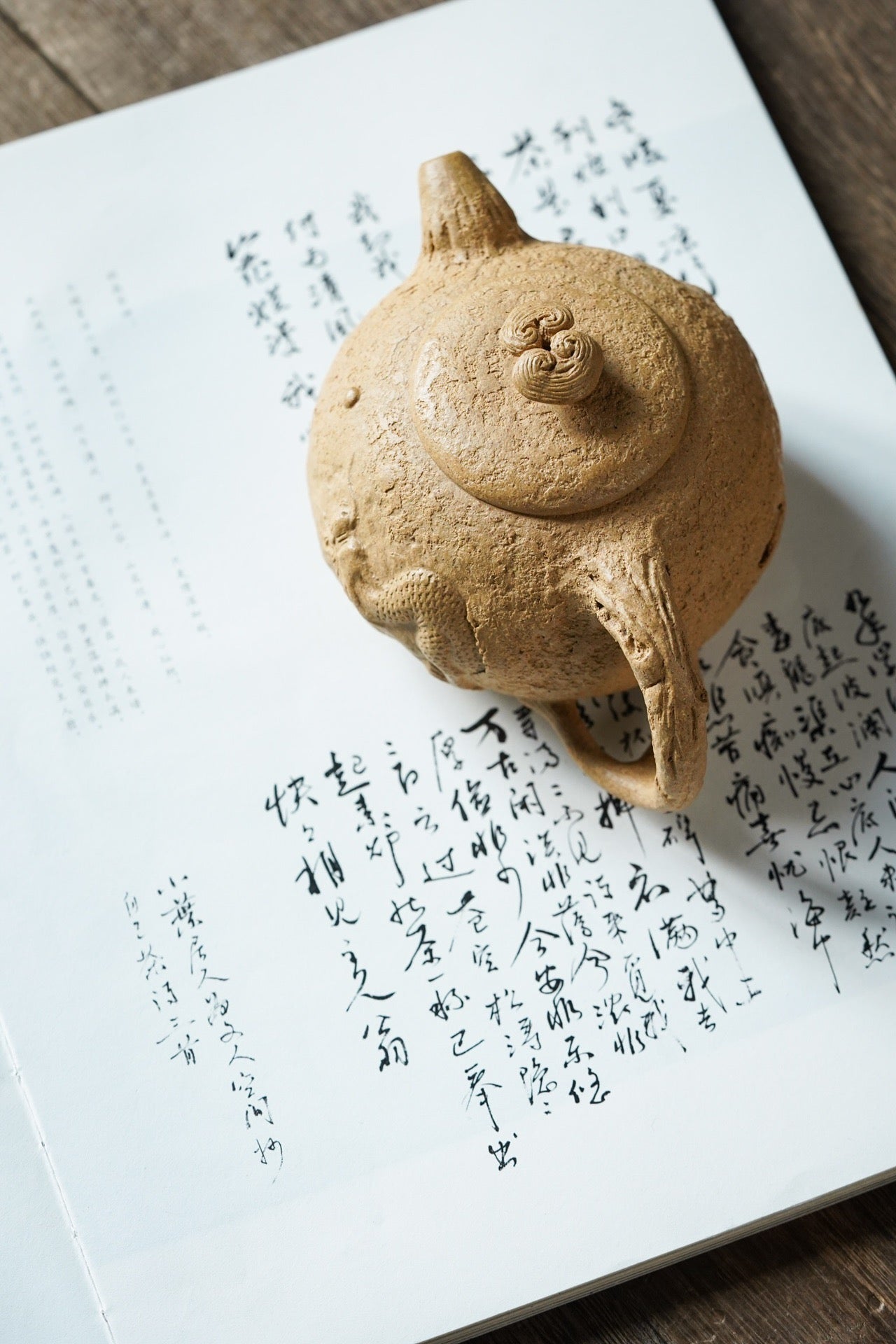 220cc 中国宜興手作り紫沙本物オリジナルDuanni粘土ティーポット「公春隠龍」ティーポット