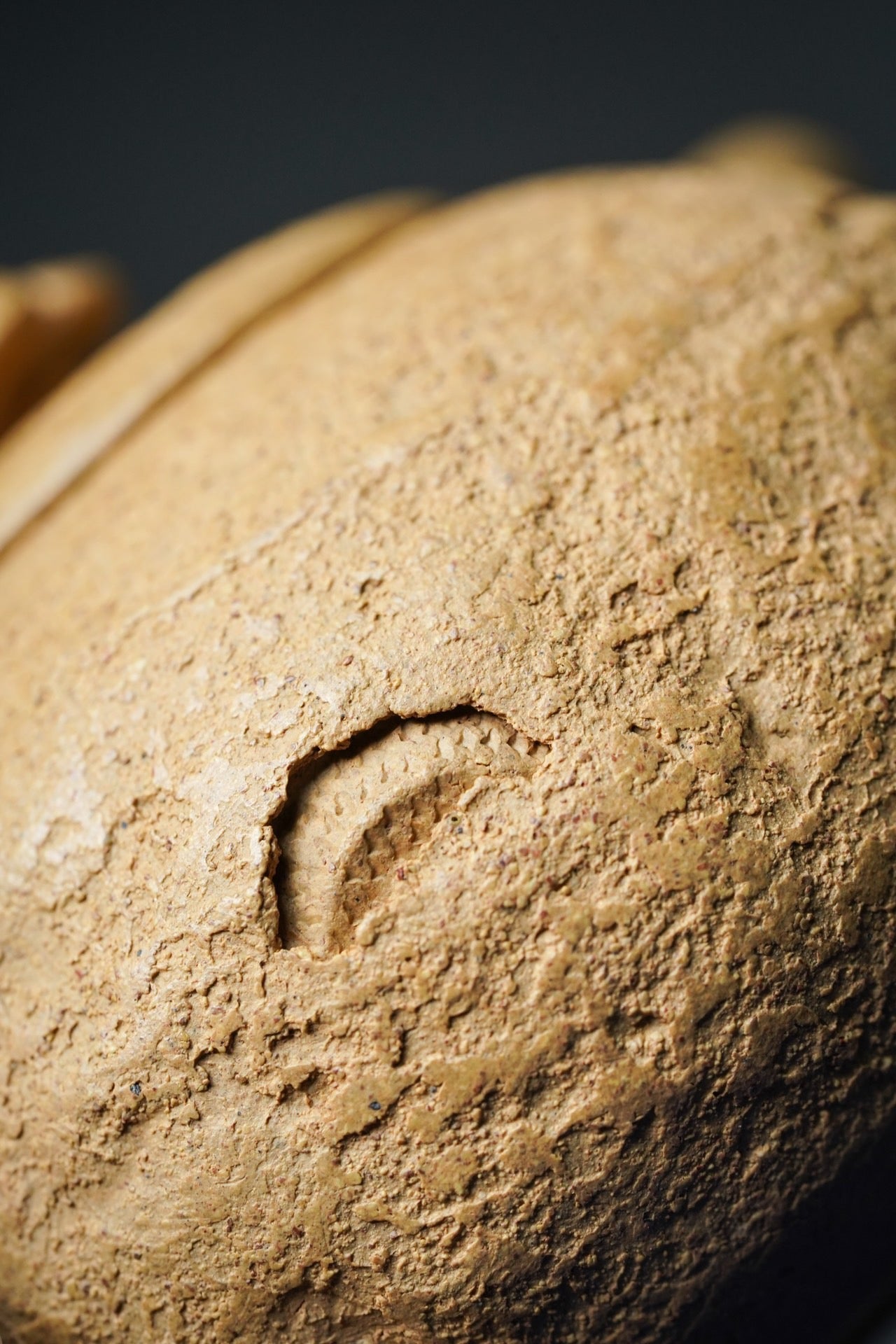 220cc 中国宜興手作り紫沙本物オリジナルDuanni粘土ティーポット「公春隠龍」ティーポット